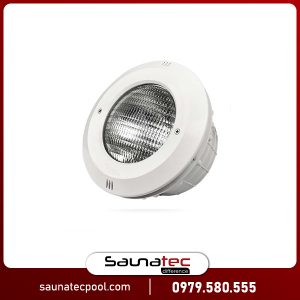 Đèn bể bơi Emaux NP300 series