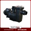 Máy bơm bể bơi Waterco Hydrostorm Plus